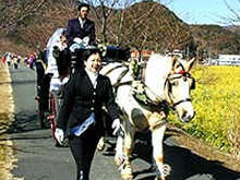 菜の花結婚式