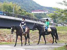 修学旅行生来場