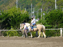 「乗馬体験の日」開催！