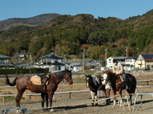 第２回 伊豆下田乗馬クラブ Winter Party