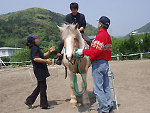 乗馬体験の日