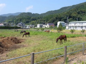 まだまだ夏ですが・・・