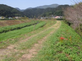 乗馬の季節が