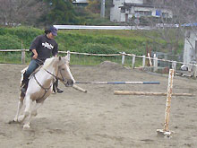 伊豆下田祭 2009