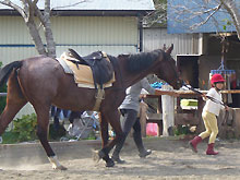 伊豆下田祭 2009