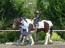 乗馬体験の日