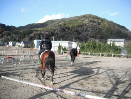 正月終了 正月終了