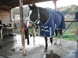 お年玉 お年玉