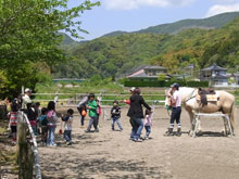 乗馬体験の日