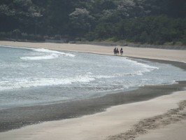 春の海 春の海