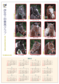 伊豆下田乗馬クラブカレンダー・2012年版