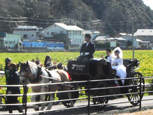 菜の花結婚式