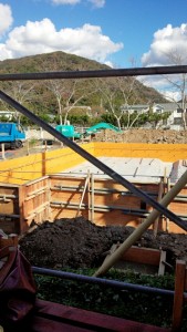 PhotoHenshu_20131123104248.jpg