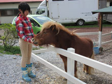 にんじんで馬と仲良くなろう！
