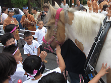 亀戸天神社例大祭にチェリーが参加しました！