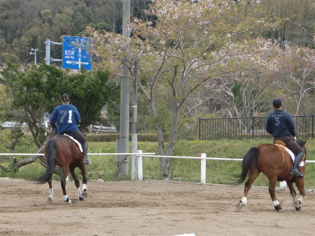 カドリール