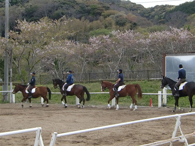 カドリール