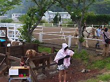 乗馬体験の日