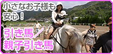 親子引き馬