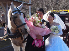 菜の花結婚式