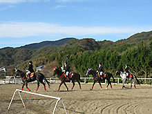 カドリール演技