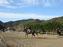 カドリール演技