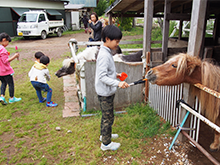 乗馬体験の日