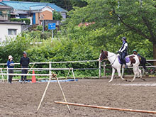 2022伊豆下田乗馬クラブイベント